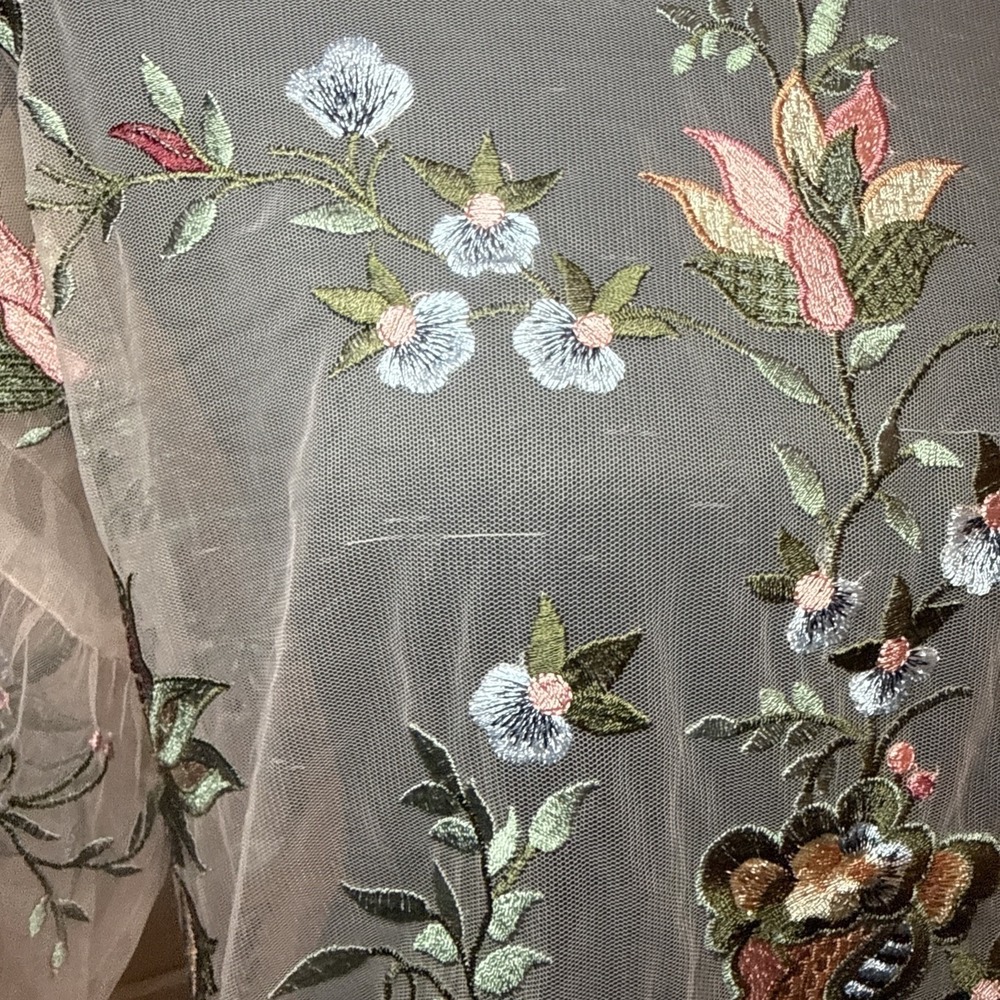 Zara Top Womens M Sheer Floral Boho Whimsical Cottagecore Romantic Fairycore - Picture 14 of 16